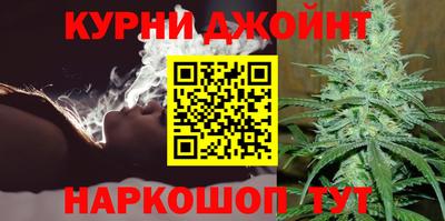 прущие грибы Краснознаменск