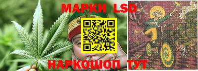 прущие грибы Краснознаменск
