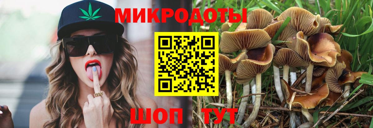 Зеленокумск  Псилоцибиновые грибы Psilocybe  Вход с VPN  Галлюциногенные грибы мицелий 